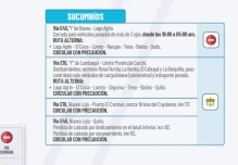 Informe Red Vial Región Amazónica - Agosto 13 de 2025