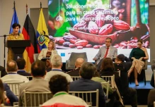 Ecuador busca liderar la producción de cacao libre de deforestación