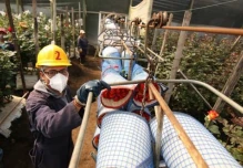 Cuatro productos de Ecuador, a la espera de entrar sin arancel a Estados Unidos