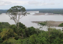 Los indígenas claman por la protección del 80 % de la Amazonía para el 2025