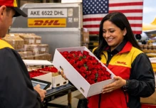 Exportación de flores ecuatorianas se fortalece con crecimiento del comercio electrónico puerta a puerta