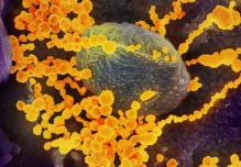 Coronavirus: Ecuador revisará pasajeros de China, Italia, Irán y Corea