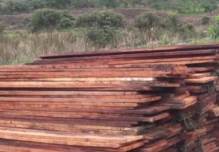 Ministerio del Ambiente retiene 6.93 metros cúbicos de madera en Sucumbíos 
