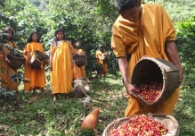 Perú busca conservar sus bosques en la Amazonía 