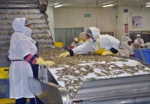 China supera a Estados Unidos como socio comercial de Ecuador