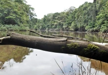 Ecuador celebrará "el mes de la biodiversidad" con foros y actos culturales