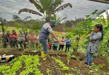 170 huertos familiares se implementaron en Napo