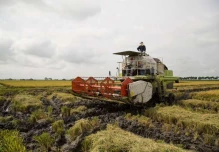 Menos aranceles y más crédito para el agro
