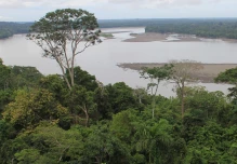 La ruta al Yasuní, un viaje al corazón de la Amazonía ecuatoriana
