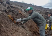 Treinta guardaparques fueron despedidos en el país