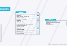 Informe Red Vial Región Amazónica - noviembre 14 de 2024