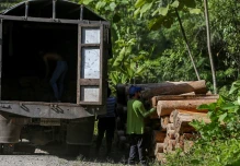La energía eólica impulsa el mercado negro de la balsa 