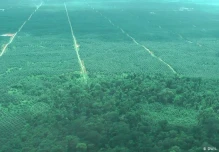 "¡Claro que sí podemos reforestar la Amazonía!"