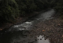 El río Puyo está contaminado con coliformes