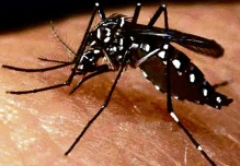 Sube número de afectados por zika