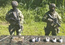 Una base guerrillera fue descubierta en Sucumbíos