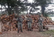 Fuerzas Armadas continúan decomisando madera ilegal en Sucumbíos