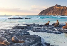 Unesco aprobó ampliación de la Reserva de Biosfera Galápagos