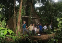 21 de marzo, Día Internacional de los Bosques