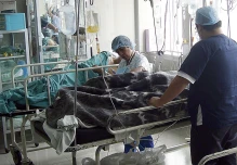 Ecuador vigila su frontera sur ante brote del síndrome de Guillain Barré en Perú