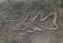 La inteligencia artificial permite identificar 303 nuevas figuras en Nazca
