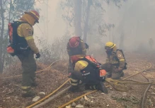 11 incendios forestales se registran en Ecuador