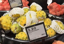 Exportaciones de pitahaya ecuatoriana crecieron 32 % y superaron los USD 270 millones en 2025