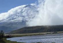  Amazonía: WWF y UICN impulsan conservación del jaguar y el delfín de río