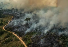 Cinco mitos sobre el bosque tropical
