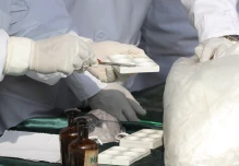 Policía de Ecuador decomisa 446,75 kilos de cocaína y apresa a integrante de célula narco