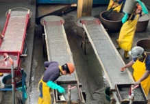 La minería se proyecta como un eje de reactivación productiva para el país