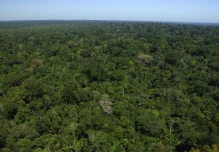 Colombia prohibió la minería y el petróleo en su bioma amazónico