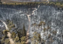 Ecuador expresó "su consternación" por macroincendio que afectó a Jerusalén