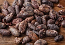 El precio del cacao ha caído abruptamente en los últimos días