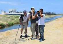 Una ‘ruta’ de destinos para avistar aves en Ecuador