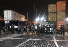 La Policía halló 293 kilos de cocaína en envíos de bananas que iban a Rotterdam