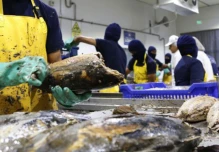 Ecuador ratifica que cumple con medidas sanitarias para productos acuícolas y pesqueros