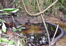 Estudio de red católica recoge problemas socioambientales de territorio amazónico