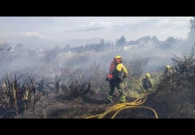 Cerca de 16.000 hectáreas han ardido en Ecuador en las últimas dos semanas