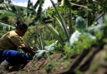 2 provincias amazónicas, entre las que menos desempleo tienen en Ecuador