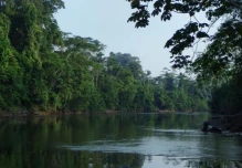 La arqueología aporta nuevas pistas sobre la historia de la Amazonía