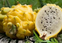 Acuerdo con Corea del Sur abre oportunidades para nuevos productos ecuatorianos