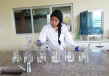 Bananas could purify water in the Amazon
