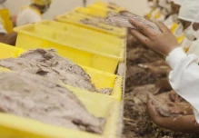 Exportaciones de Ecuador crecen pese al golpe de la pandemia