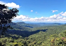 Ambiente oficializa corredor ecológico entre Llanganates y Yasuní para fortalecer la conectividad andino-amazónica