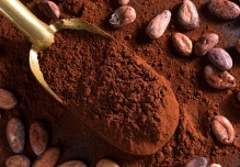 El cacao ecuatoriano llegó a México hace cientos de años