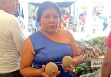 Los Shuar revelan un poderoso tinte natural