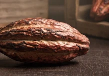 El cacao bajó a $ 9.509 por tonelada 