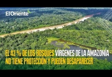 El 42 % de los bosques vírgenes de la Amazonía no tiene protección y pueden desaparecer