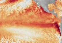 El Niño amenaza con presionar los precios de alimentos, materiales y energía a escala global